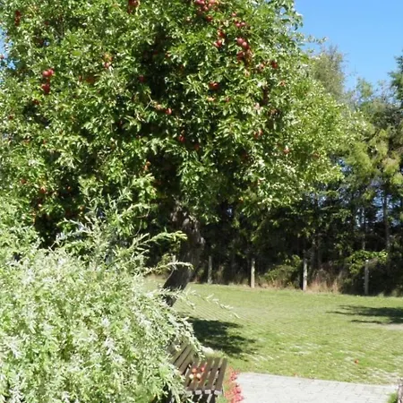 Apartamento In Mit Grill By Interhome